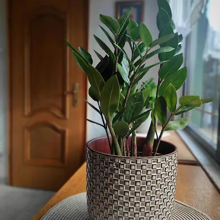 Hébergement de vacances House Izi - Parking, Garden, 8 Min Ride To Center *